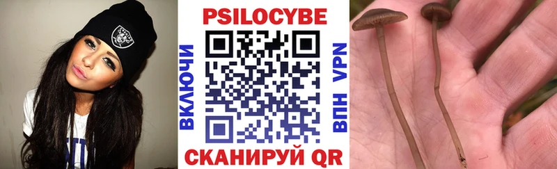 Галлюциногенные грибы прущие грибы  Купить  Курлово 