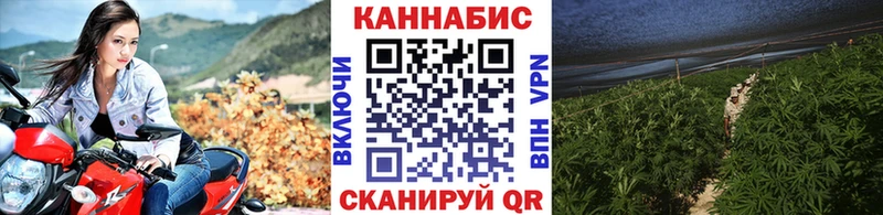 Бошки Шишки VHQ Курлово